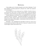 Колодар: етнонотатник - Мандрівець (9789669442741) - изображение 6