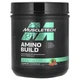 Аминокислотный комплекс Muscletech Amino Build 593 g (Strawberry Watermelon) - изображение 1