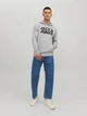 Худі чоловіче Jack & Jones 12152840 XL Сіре (5714487362623) - зображення 3