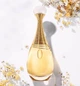 Парфумована вода для жінок Dior J'adore 100 мл - зображення 4