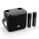 Портативная колонка TG545DK 10W с фонариком и двумя микрофонами Black - изображение 1