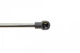 Амортизатори капота/багажника LESJOFORS 8182908 Seat Leon 1M6827550A - зображення 4