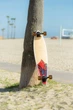 Лонгборд пинтейл Arbor Performance Complete Groundswell Fish 93.98 см (sk2244) - изображение 4