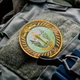 Набор шевронов 2 шт на липучке 36 Отдельная десантно штурмовая бригада на пикселе 8,8 см, вышитый патч нашивка - изображение 2