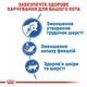 Сухой корм Royal Canin Indoor для домашних и малоактивных кошек 4кг - изображение 2