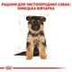 Сухий корм Royal Canin German Shepherd Puppy для цуценят породи німецька вівчарка 24кг - зображення 2