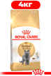Сухой корм Royal Canin British Shorthair Adult для взрослых кошек породы британская короткошерстная 4кг - изображение 1