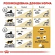 Сухой корм Royal Canin British Shorthair Adult для взрослых кошек породы британская короткошерстная 0.4кг - изображение 4