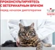 Вологий корм Royal Canin Renal Cat Fish для котів при захворюваннях нирок 85г - зображення 2
