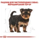 Сухой корм Royal Canin Yorkshire Puppy для щенков породы йоркширский терьер 0.5кг - изображение 2