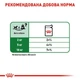 Влажный корм Royal Canin Mini Adult для взрослых собак малых размеров 85г КОМПЛЕКТ 12 шт - изображение 4