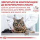 Сухой корм Royal Canin Urinary S/O Cat для кошек при заболеваниях нижних мочевыводящих путей 1.5 кг - изображение 2