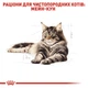 Сухой корм Royal Canin Mainecoon Adult для взрослых кошек породы мейн-кун возрастом от 15 месяцев 10кг - изображение 2