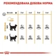 Сухой корм Royal Canin Hair&Skin Care для взрослых кошек для поддержания здоровья кожи и блеска шерсти 2 кг - изображение 8