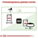 Вологий корм Royal Canin Digest Sensitive для дорослих котів із чутливою травною системою 85г - зображення 5