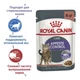 Влажный корм Royal Canin Appetite Control для кошек склонных к выпрашиванию корма 85г КОМПЛЕКТ 12шт - изображение 3