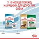Сухой корм для щенков мелких пород Royal Canin PUPPY MINI 4кг - изображение 4