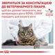 Влажный корм Royal Canin Diabetic Cat диетический для котов при сахарном диабете 85г КОМПЛЕКТ 12 ШТ - изображение 2