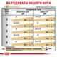 Влажный корм Royal Canin Urinary S/O Moderate Calorie Cat для взрослых котов 85г - изображение 5