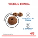 Сухий корм Royal Canin Light Weight Care дієтичний для дорослих котів для обмеження набору зайвої ваги 1.5 кг - зображення 3
