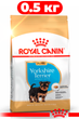 Сухой корм Royal Canin Yorkshire Puppy для щенков породы йоркширский терьер 0.5кг - изображение 1