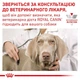 Сухой корм для собак Royal Canin Hypoallergenic Small Dog для малых пород при аллергиях 1кг - изображение 2