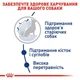 Cухий корм Royal Canin Maxi Ageing 8+ для дорослих собак великих розмірів 15кг - зображення 2