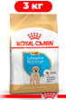 Сухой корм Royal Canin Labrador Retriever Puppy для щенков породы лабрадор ретривер 3кг - изображение 1