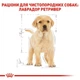 Сухой корм Royal Canin Labrador Retriever Puppy для щенков породы лабрадор ретривер 3кг - изображение 2
