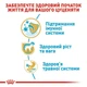 Сухой корм Royal Canin Labrador Retriever Puppy для щенков породы лабрадор ретривер 3кг - изображение 3