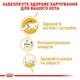 Влажный корм Royal Canin Mainecoon Adult для взрослых кошек породы мейн-кун 85г КОМПЛЕКТ 12шт - изображение 3