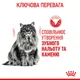 Сухой корм Royal Canin Dental Care для взрослых кошек склонных к накоплению зубного налета 16кг - изображение 2