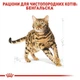 Сухий корм Royal Canin Bengal Adult для дорослих котів породи бенгальська 4кг - зображення 2