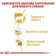 Сухой корм Royal Canin West Highland White Terrier Adult для собак породы вест хайленд вайт терьер 6 кг - изображение 3