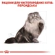 Сухой корм Royal Canin Adult Persian для взрослых кошек персидской породы 2кг - изображение 2