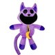Мʼяка іграшка Кіт Дрімот КетНеп усміхнені звірятка CatNap Smiling Critters 30см - зображення 1