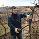Секатор акумуляторний Bosch Pro Pruner, 12В, 2х3Аг, d різу 25мм, 1000гр (0.601.9K1.021) - изображение 5