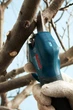 Секатор Bosch Pro Pruner акумуляторний, 12В, 3.0 Ач, до 25мм, 1кг, сет. 2 ак. (0.601.9K1.021) - изображение 6