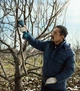 Секатор Bosch Pro Pruner акумуляторний, 12В, 3.0 Ач, до 25мм, 1кг, сет. 2 ак. (0.601.9K1.021) - изображение 7