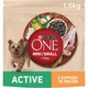 Сухий корм PURINA ONE Mini/Small Active для дорослих собак дрібних порід з підвищеною активністю з куркою та рисом 1,5 кг - зображення 1