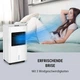 Охолодувач-вентилятор oneConcept Freeze Me 3 в 1 400 м³/год (10033432) - зображення 6