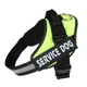 Шлея для котів посилена Pet Style "Service Dog" Зелена S - зображення 1
