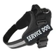 Шлея для котов и кошек усиленая Pet Style "Service Dog" Черная XL - изображение 1
