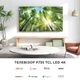 Телевізор TCL 43P735 - зображення 18