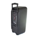 Портативна колонка Su-Kam 1010 2 мікрофони 26000mAh 150 Вт black - изображение 2
