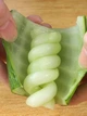 Нож для нарезки картофеля и овощей спиралью картофелерезка овощерезка спираль для карвинга 21 см - изображение 8