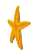 Фигурка Оранжевая морская звезда Safari Ltd 276829 - изображение 4