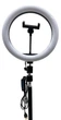 Кольцевая лампа со штативом iLike Elight ST10 26 см (ELIG-ST10-16M) - изображение 1