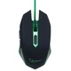 Мышка Gembird MUSG-001-G зеленая USB - изображение 1