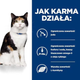 Сухий корм для кота HILL'S Thyroid Care y/d 3 кг (0052742042503) - зображення 3